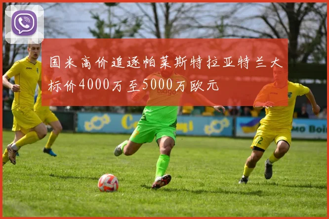 国米高价追逐帕莱斯特拉亚特兰大标价4000万至5000万欧元